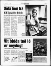 Síða 7