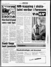 Síða 15