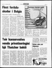 Síða 17