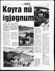 Síða 3