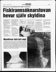 Síða 7