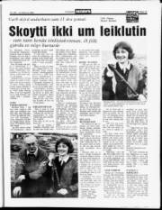 Síða 13