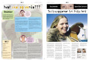 Síða 8
