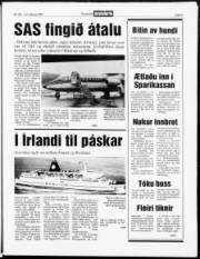 Síða 3