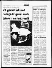 Síða 13