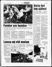 Síða 5