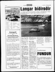 Síða 6