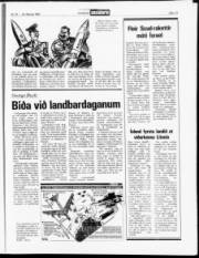Síða 12