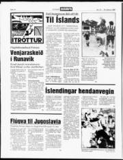 Síða 13