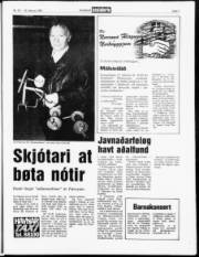 Síða 7