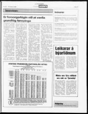 Síða 19