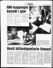 Síða 6