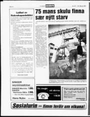 Síða 10