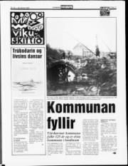 Síða 11