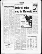 Síða 17