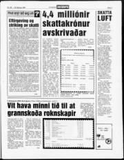 Síða 3