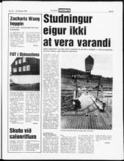 Síða 5