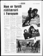 Síða 12