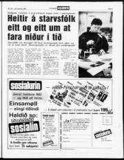 Síða 3