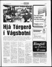 Síða 5