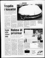 Síða 6