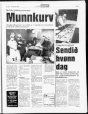 Síða 7