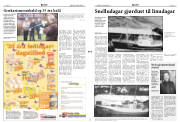 Síða 3