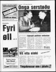 Síða 1