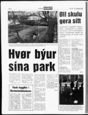 Síða 8