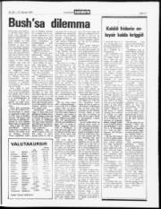 Síða 17