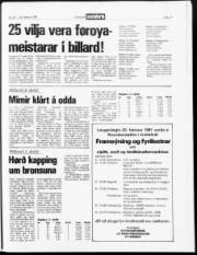 Síða 17