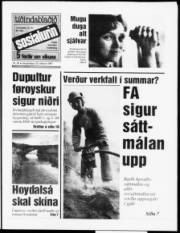 Síða 1