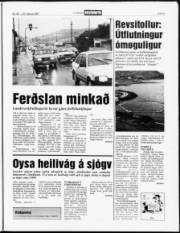 Síða 5