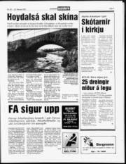 Síða 7