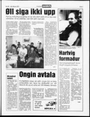 Síða 3