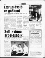 Síða 4