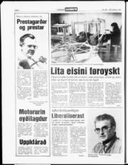 Síða 6