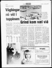 Síða 12