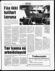 Síða 3