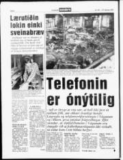 Síða 6