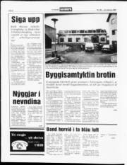 Síða 8