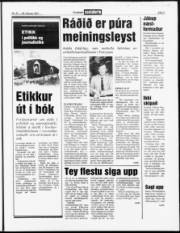 Síða 3