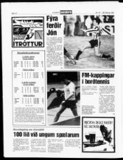 Síða 10