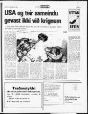 Síða 13