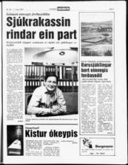 Síða 7