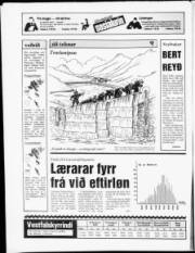 Síða 20