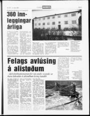 Síða 5