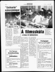 Síða 6