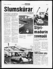 Síða 7