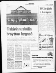 Síða 8